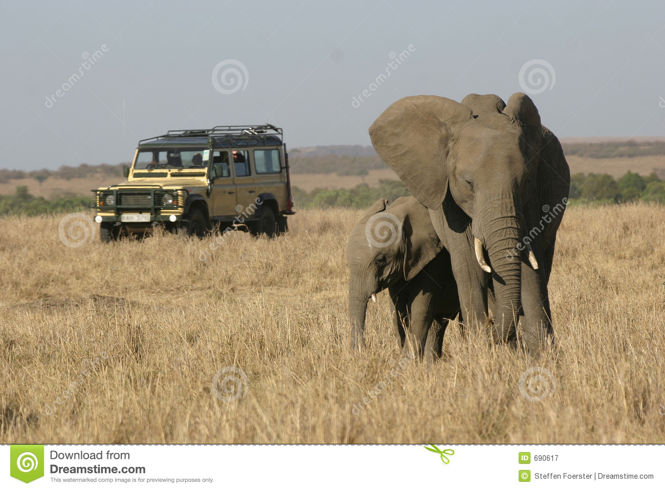 African Safari Jeep