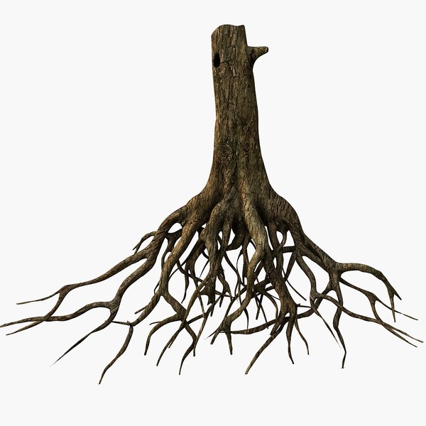 Animated Tree with Roots