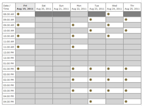 Appointment Schedule Template