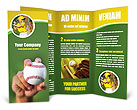 Baseball Brochure Template Free Baseball Brochure Template Free