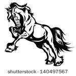 Black and White Draft Horse