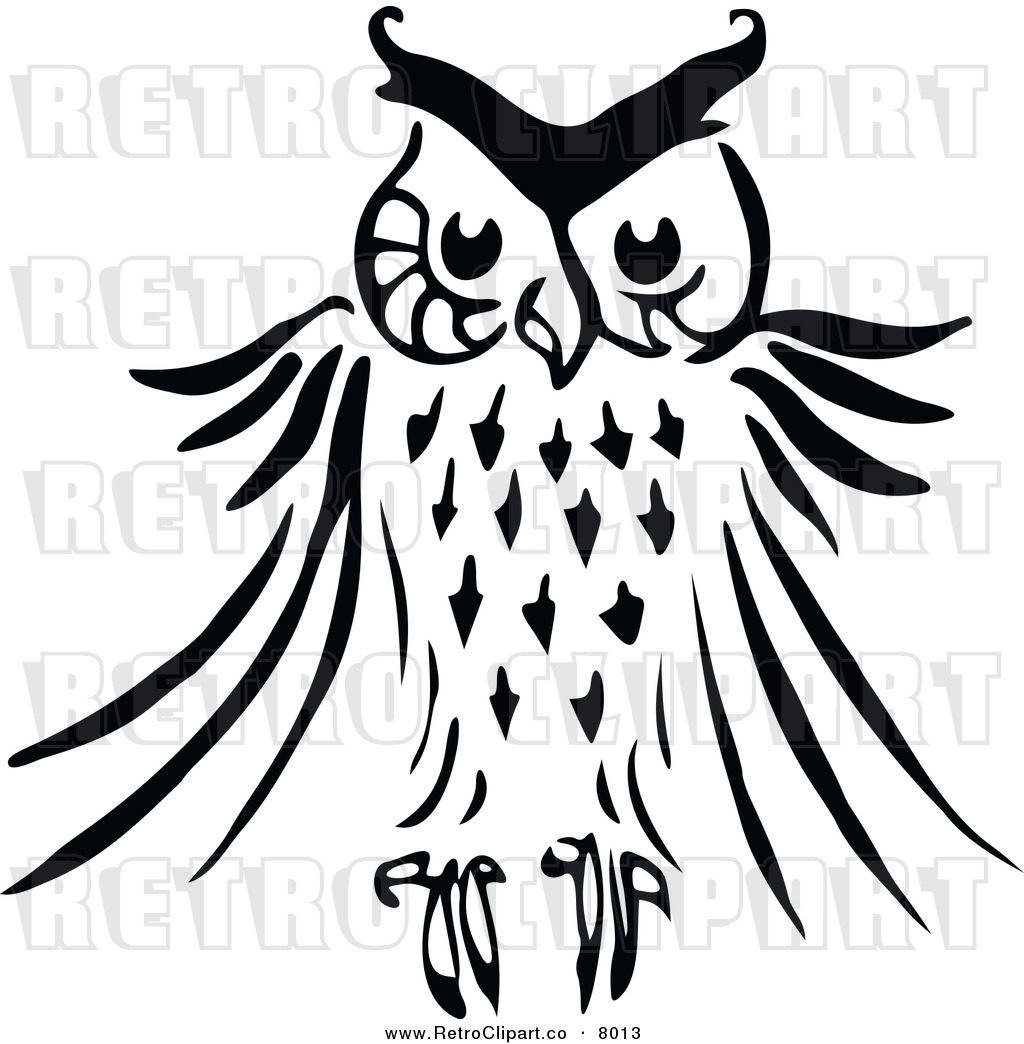 Black and White Owl Pictures