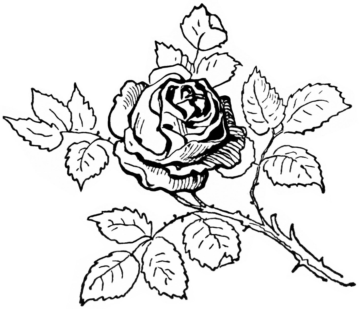 Black and White Rose Clip Art