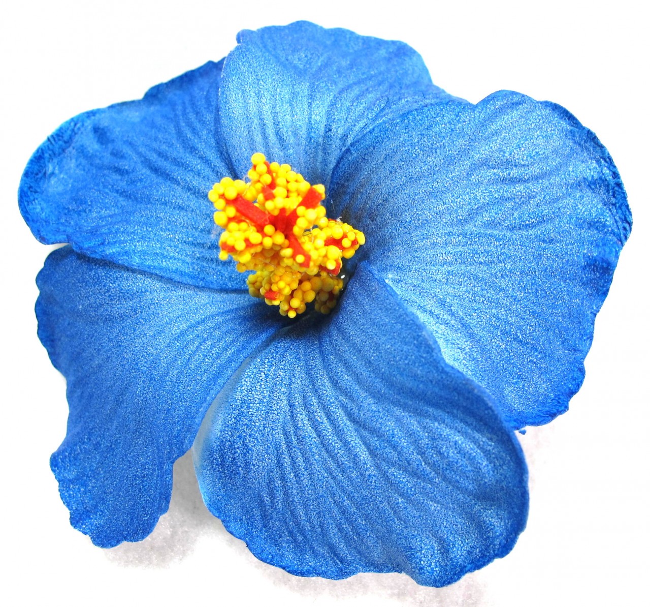 Blue Hibiscus Flower Clip Art