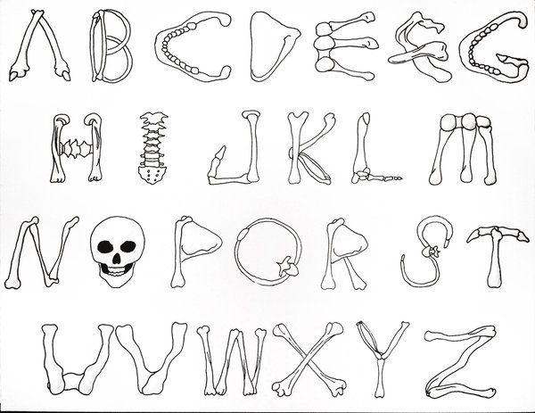 Bone Letter Alphabet