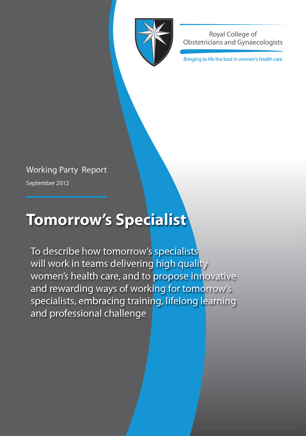 Business Report Cover Page Template Business Report Cover Page Template