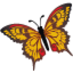 Butterfly Icon