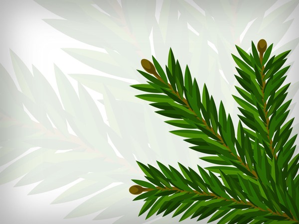 Christmas Pine Tree Vector Art