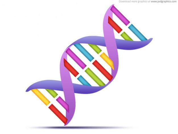 DNA Strand Clip Art