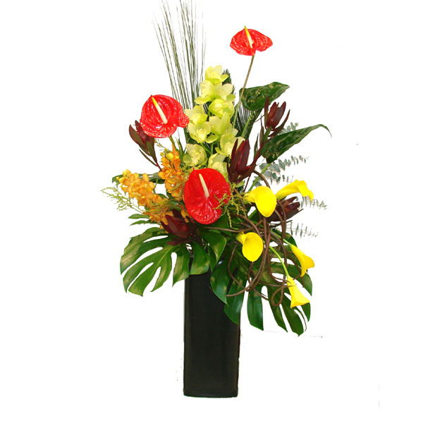 Flower Modern Floral Arrangements