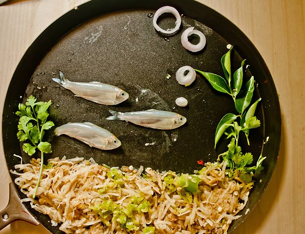 Food Art Fish