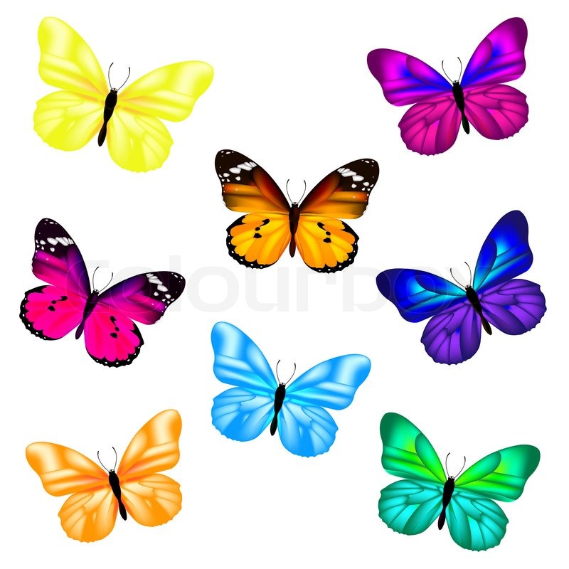 Free Butterfly Desktop Icons