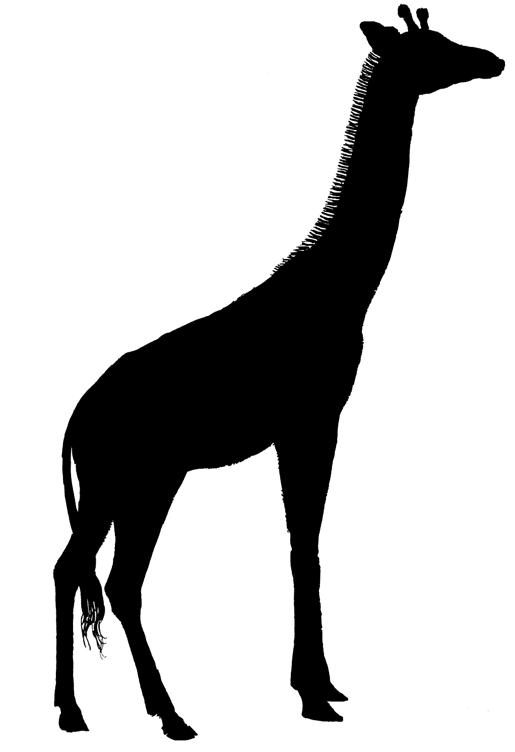 Giraffe Head Silhouette