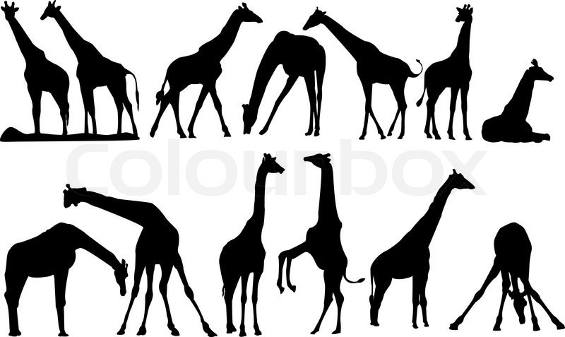 Giraffe Silhouette Vector