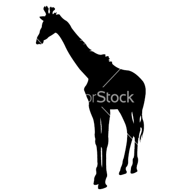 Giraffe Silhouette Vector