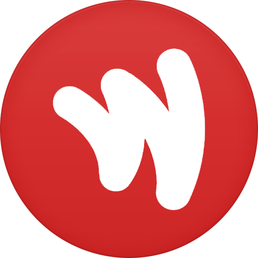 Google Wallet Icon