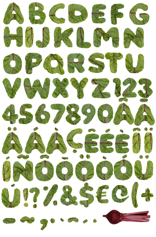 Leaves Font Alphabet