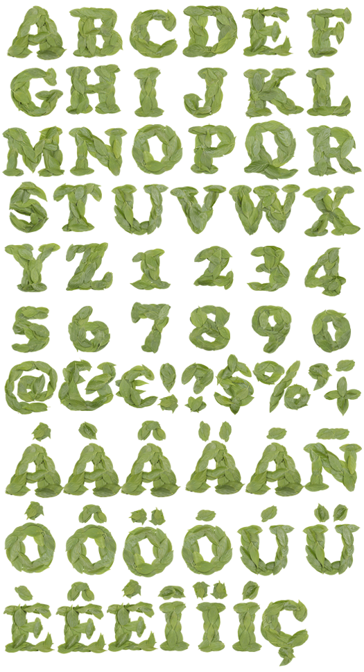 12 Leaf Letters Font Images