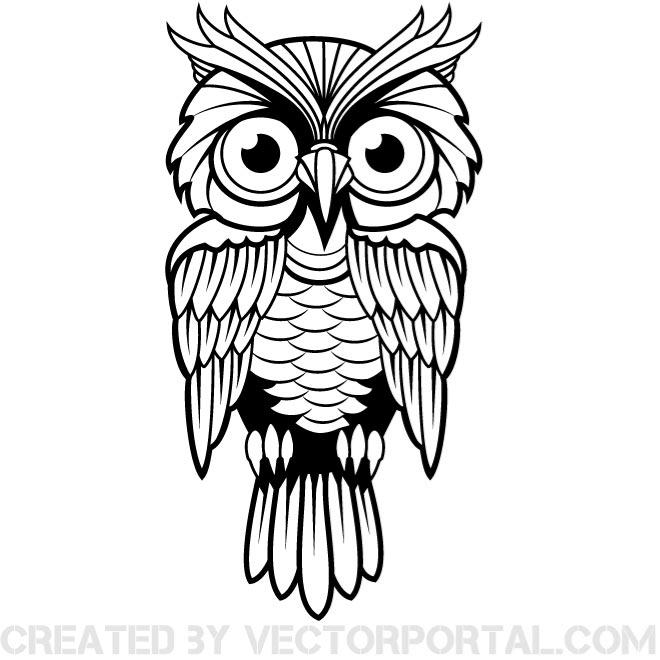 20 Photos of Black Owl Vector Art