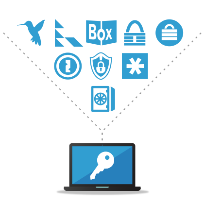 Password Manager Icon