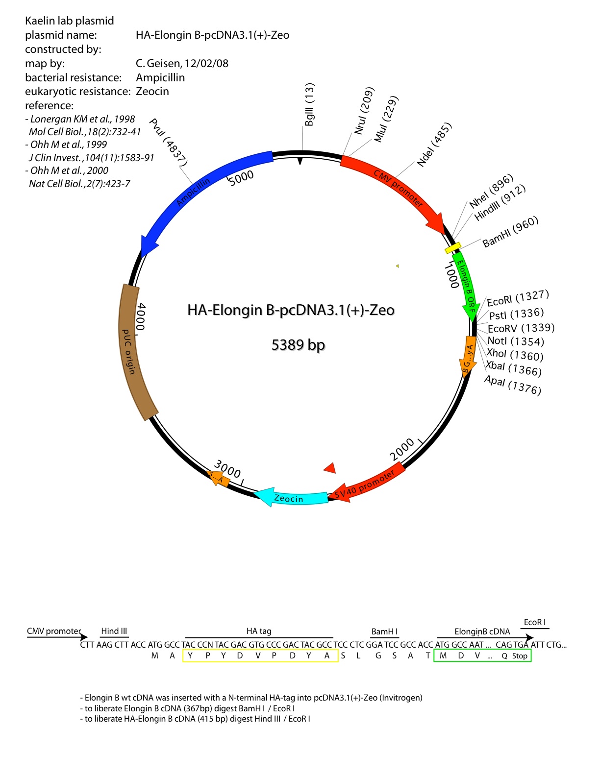 Pcdna3.1 Vector Map