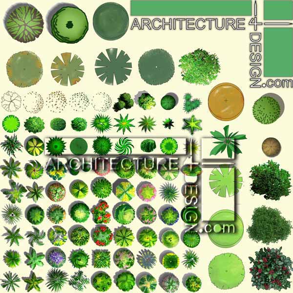 Photoshop Trees Plan View