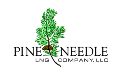 Pine Needle Clip Art