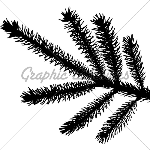 Pine Needles Clip Art Black and White