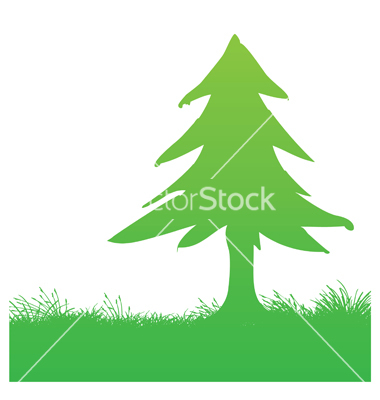 Pine Tree Vector Art