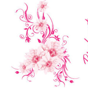 Pink Flower Vector