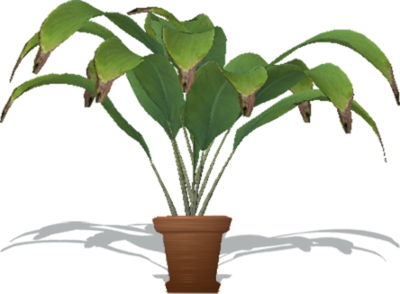 PSD Trees Plants PSD Trees Plants