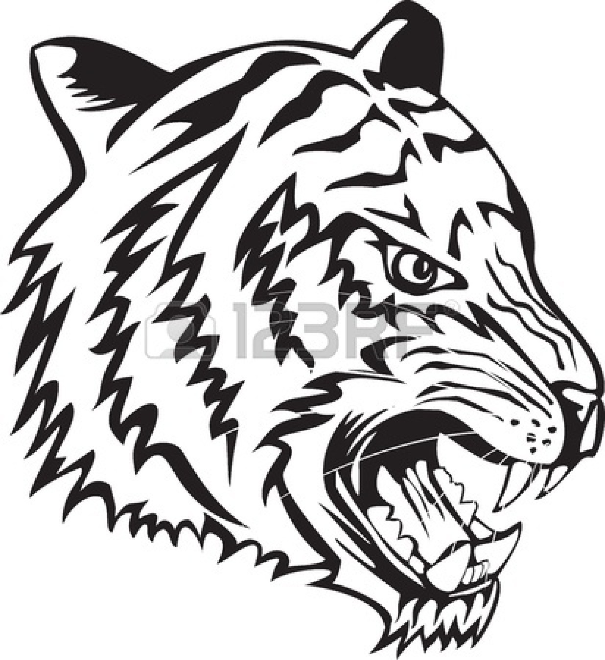 Tiger Eyes Clip Art Vector Tiger Eyes Clip Art Vector