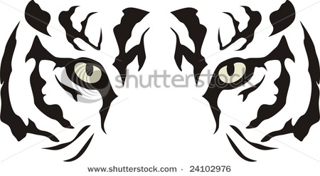 11 Tiger Eyes Vector Images
