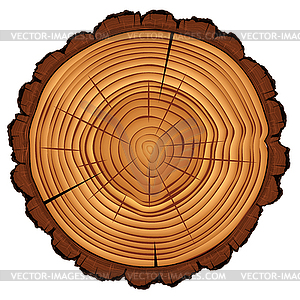 Tree Stump Clip Art