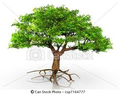 Tree with Roots Clip Art Free