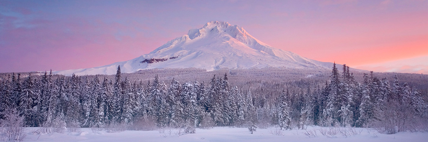 Twitter Header Twitter Header