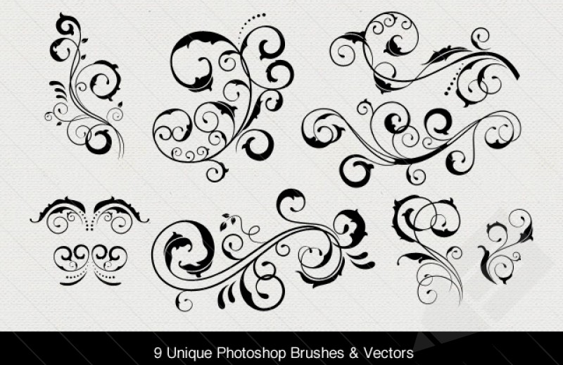 Vector Swirl Photoshop Brush
