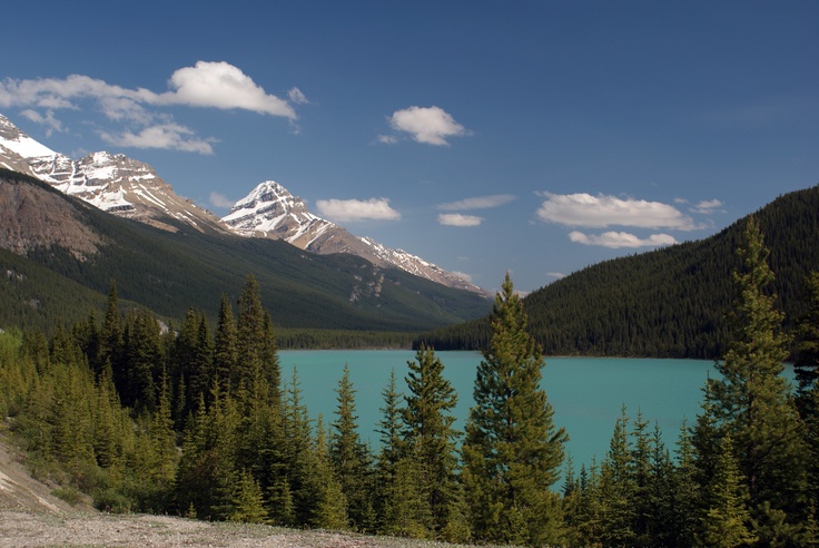 Alberta Canada Landscape Alberta Canada Landscape