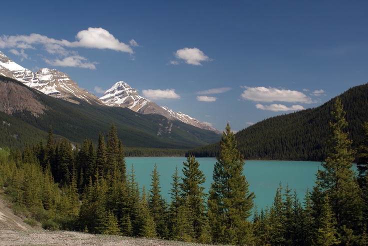 Alberta Canada Landscape