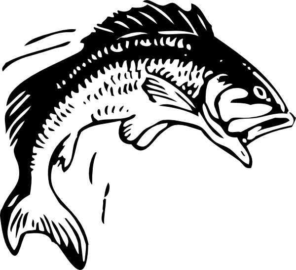 Bass Fish Clip Art Free