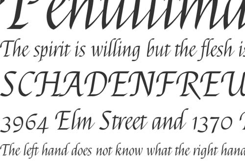 Best Calligraphy Fonts
