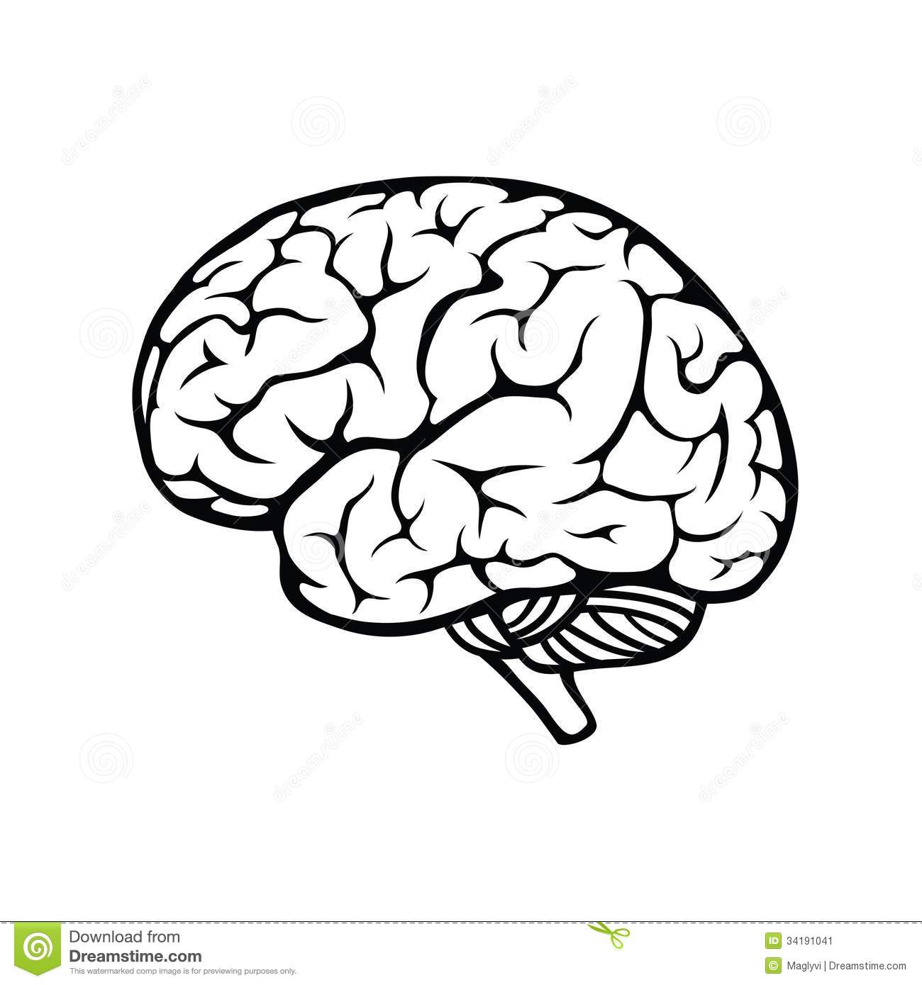 14 Brain Cartoon Vector Images