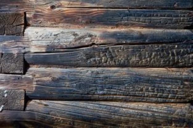 Burnt Wood Texture