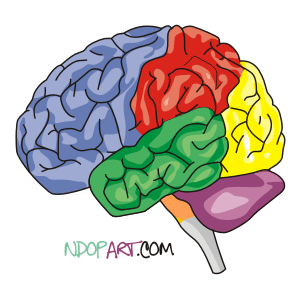 Cartoon Brain Vector