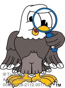 Cartoon Eagle Eyes Clip Art