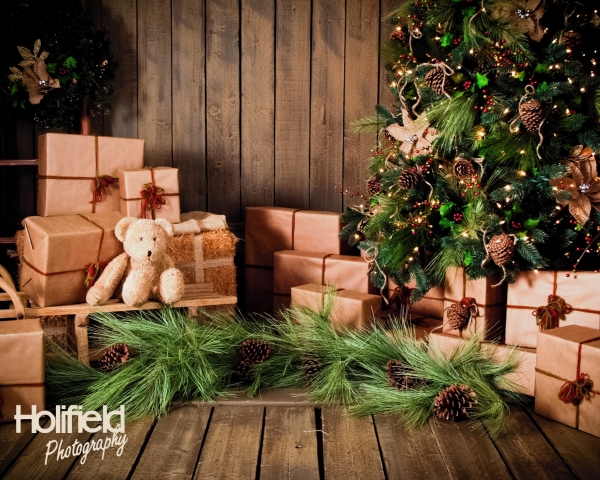 Christmas Studio Photography Ideas