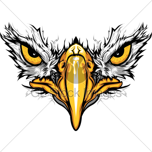 10 Eagle Eye Graphics Images