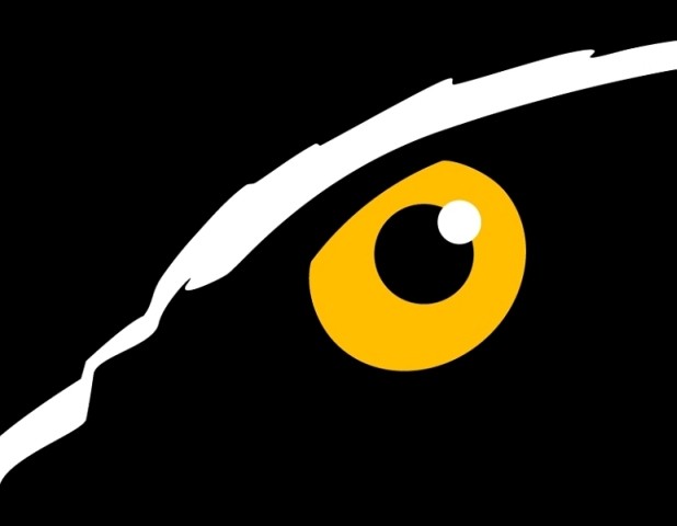 Eagle Eye Logo