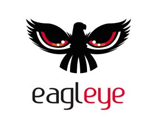 Eagle Eye Logo