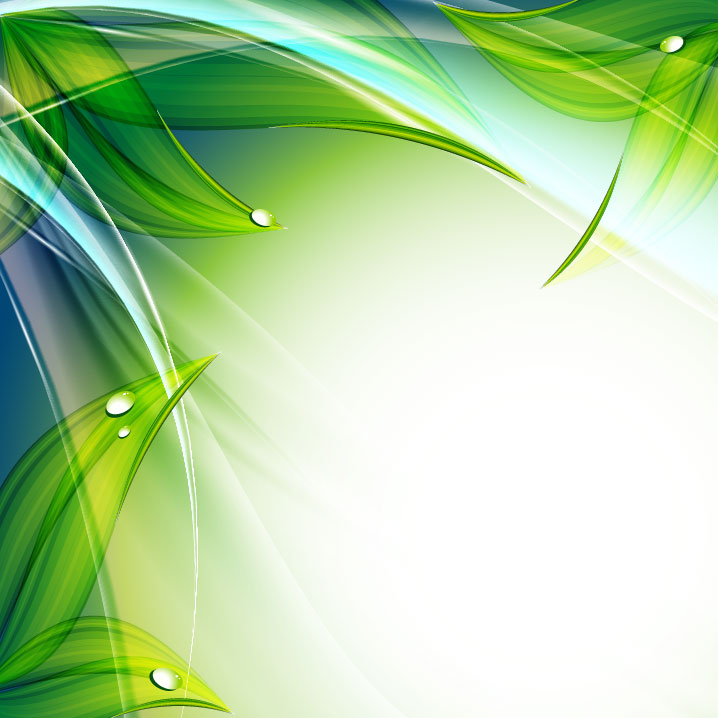 Free Vector Leaves Background